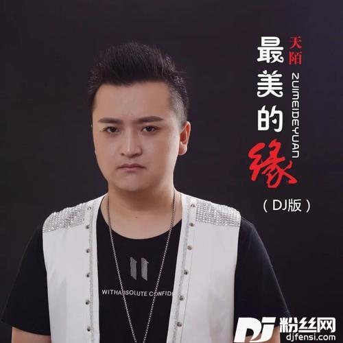 最美的缘DJ小圣版的专辑