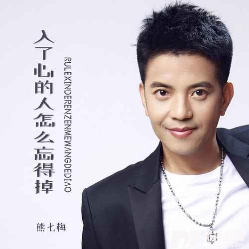 入了心的人怎么忘得掉的专辑
