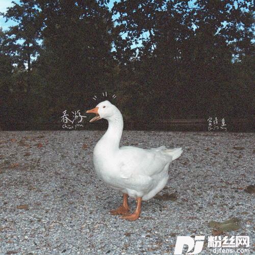 橘子汽水