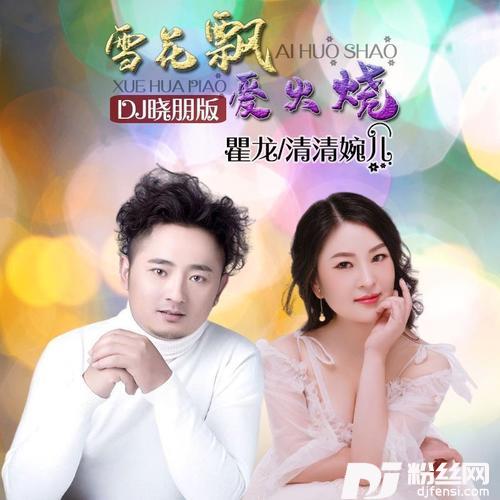 雪花飘爱火烧DJ晓朋版