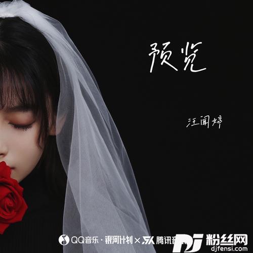 预览的专辑