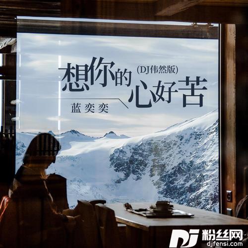 想你的心好苦DJ伟然版