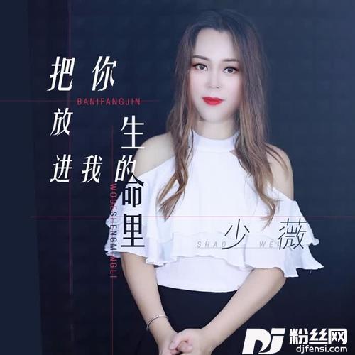 把你放进我的生命里的专辑