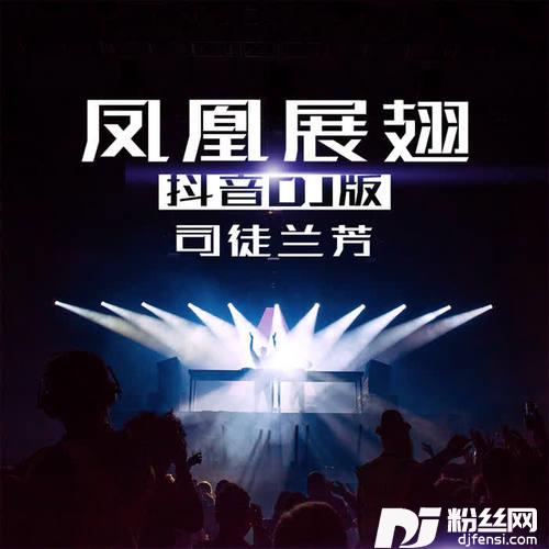 凤凰展翅DJ小黑版的专辑