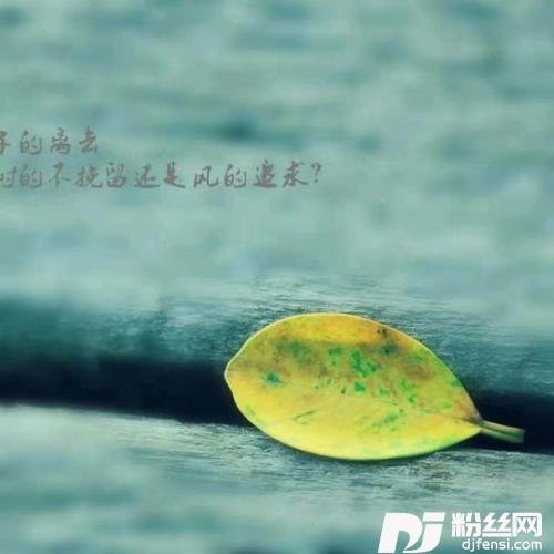 痴情冢cover:贾青|徐溢的专辑