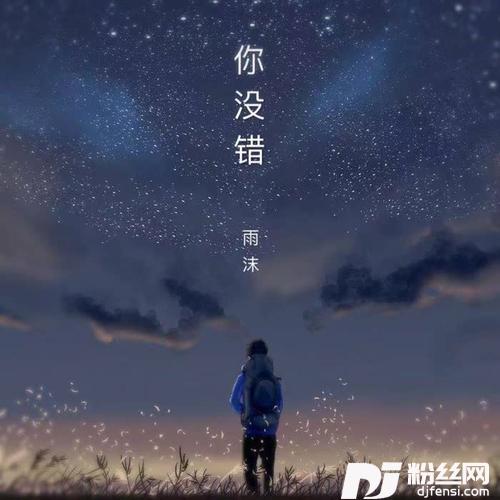 你没错的专辑