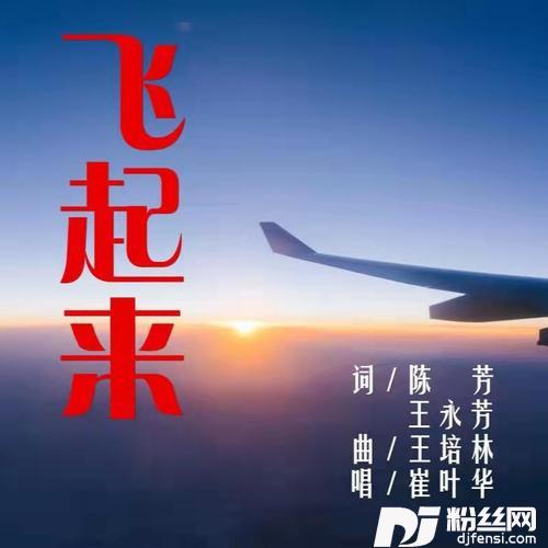 飞起来