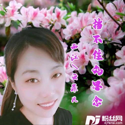 挡不住的思念的专辑