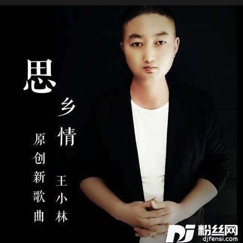 思乡情cover:王小林