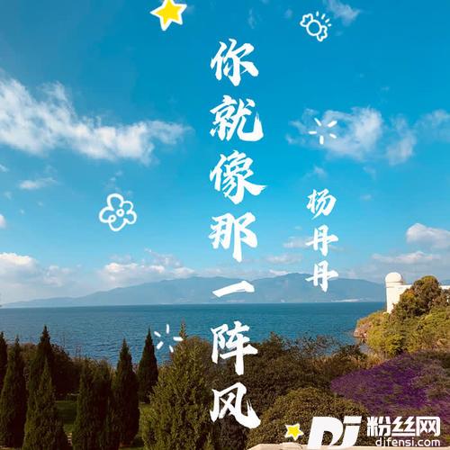 你就像那一阵风的专辑