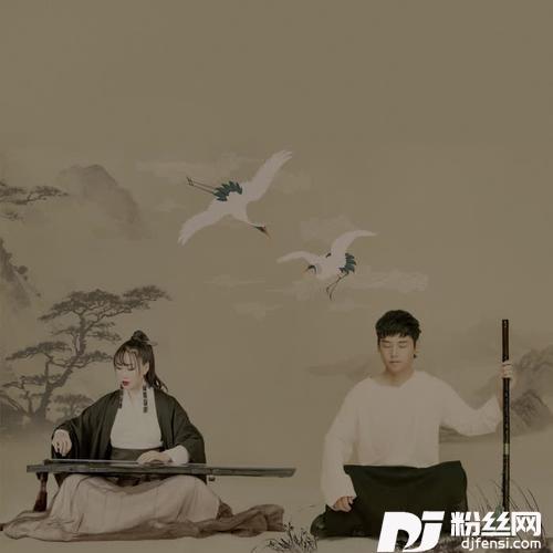 无岸