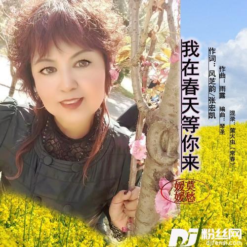 我在春天等你来cover:听月