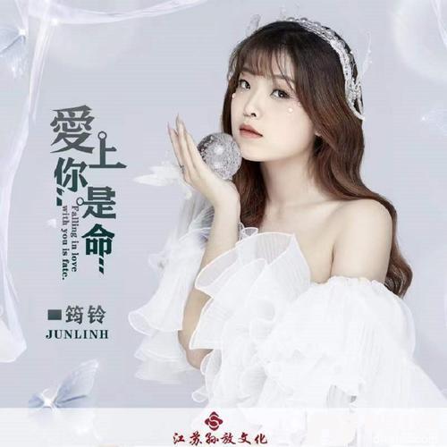 爱上你是命的专辑