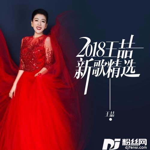心向阳光的专辑