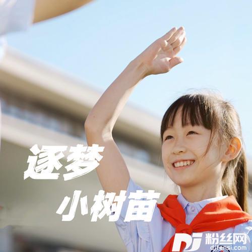 逐梦小树苗