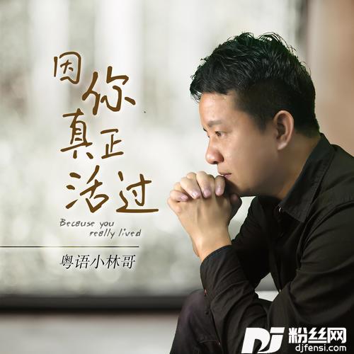 因你真正活过深情男声版