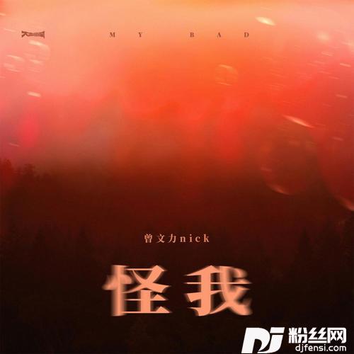 怪我的专辑
