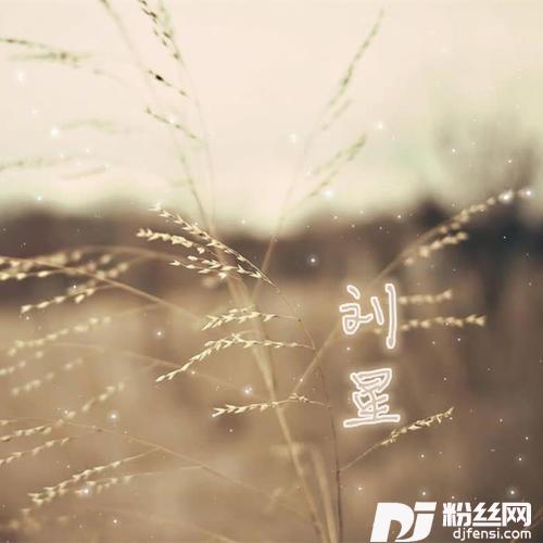 孤独的夜里的专辑