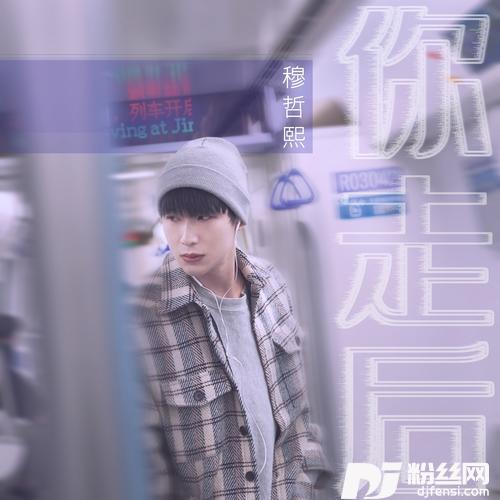 你走后DJ阿卓版