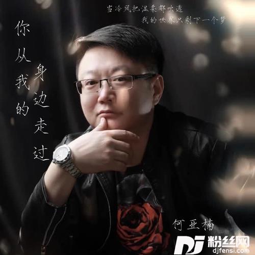 你从我的身边走过的专辑