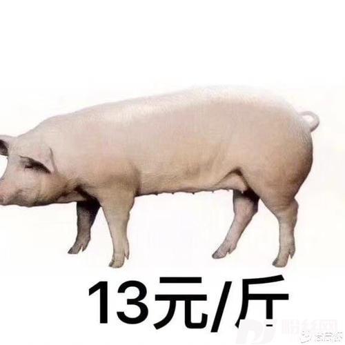 CykaBlyatDJ