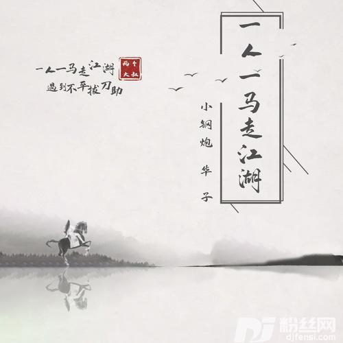 一人一马走江湖DJheap九天版
