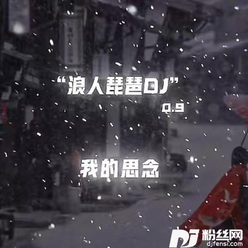 浪人琵琶DJ0.9降速版