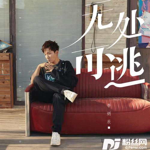 无处可逃DJ版