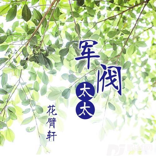 EA7炸街DJ版的专辑