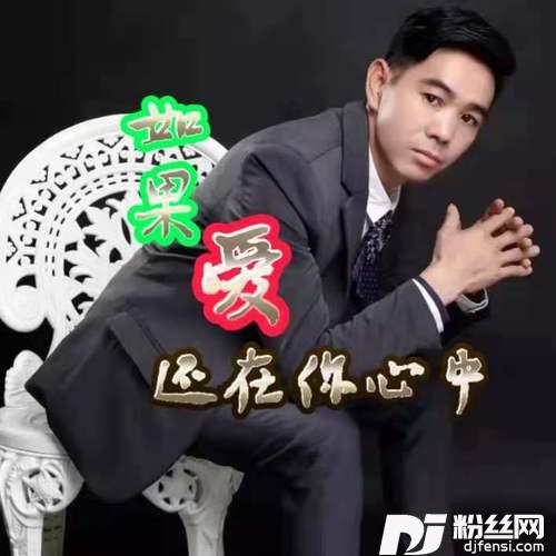 如果爱还在你心中的专辑