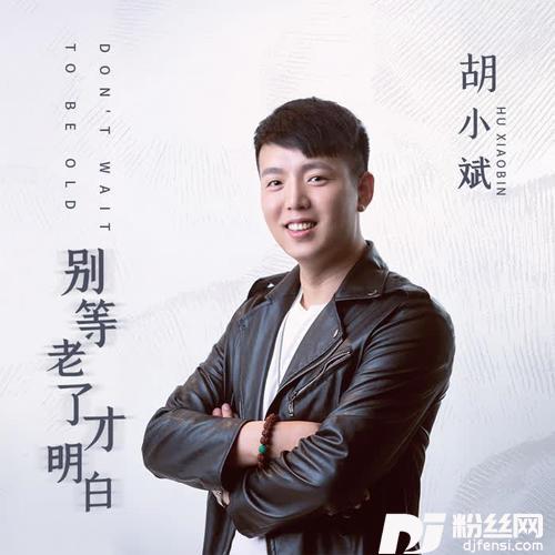 别等老了才明白DJheap九天版的专辑