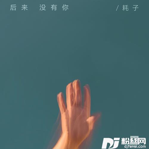 后来没有你