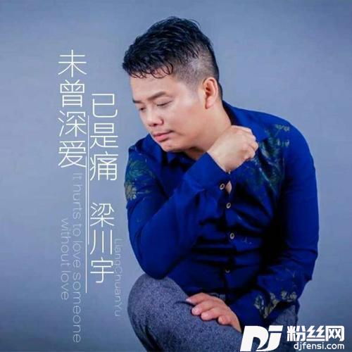 未曾深爱已是痛DJ版