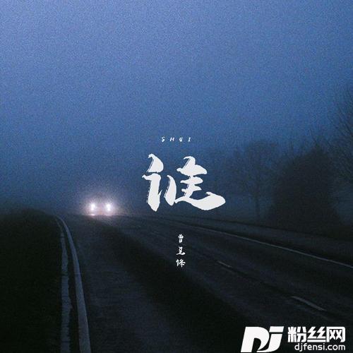 谁DJR7版的专辑