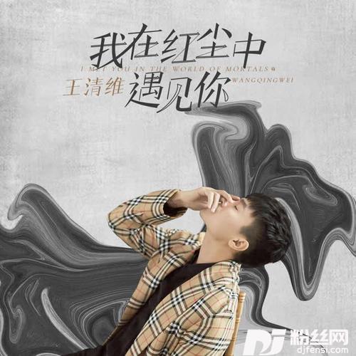 我在红尘中遇见你