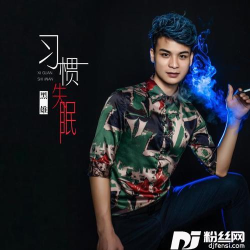 习惯失眠DJ小帽版