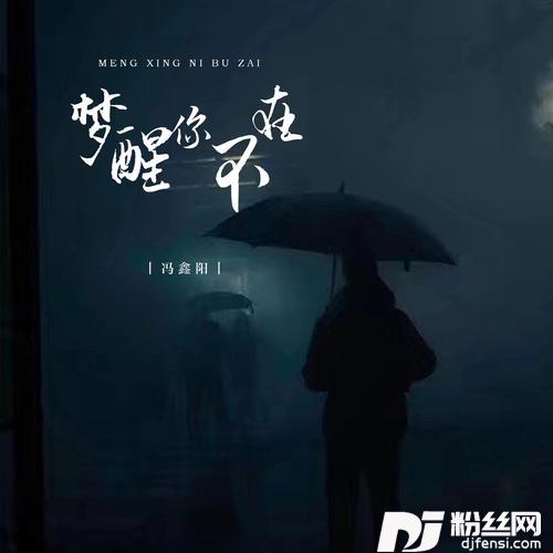 梦醒你不在