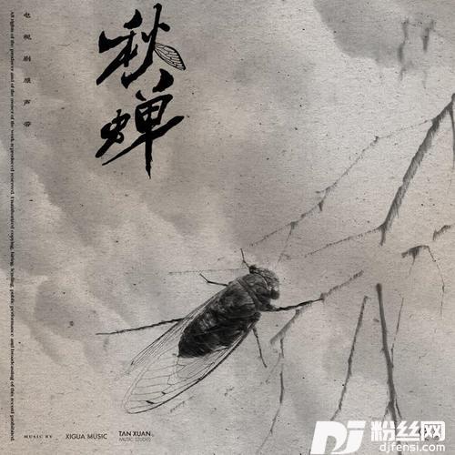 分身的专辑