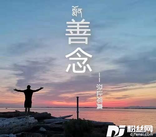 善念的专辑