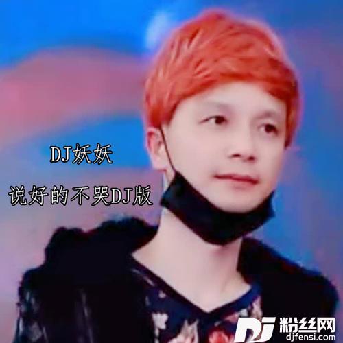 说好的不哭DJ版