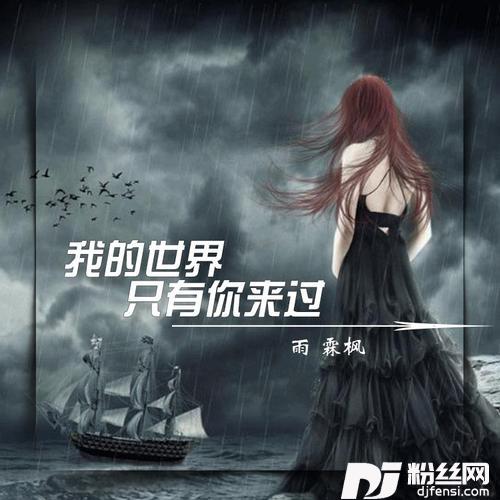 我的世界只有你来过