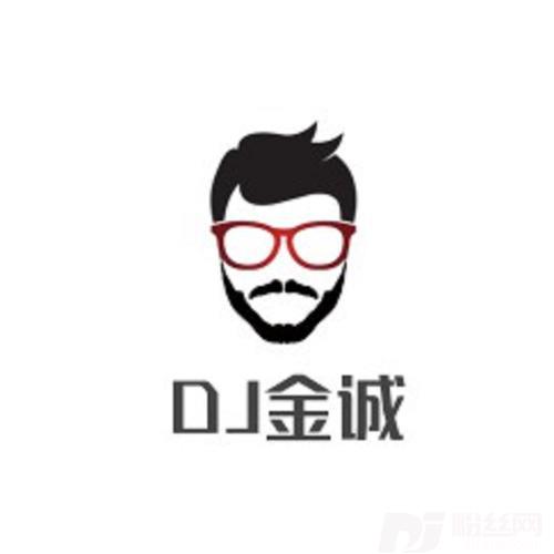 爱你爱不够Dj金诚版的专辑
