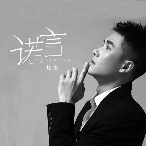 诺言无奈人在风里人在雨里的专辑