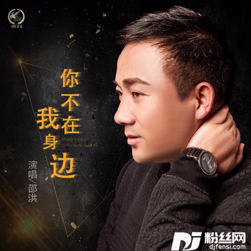 你不在我身边DJ版