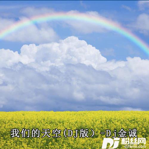 我们的天空DJ版