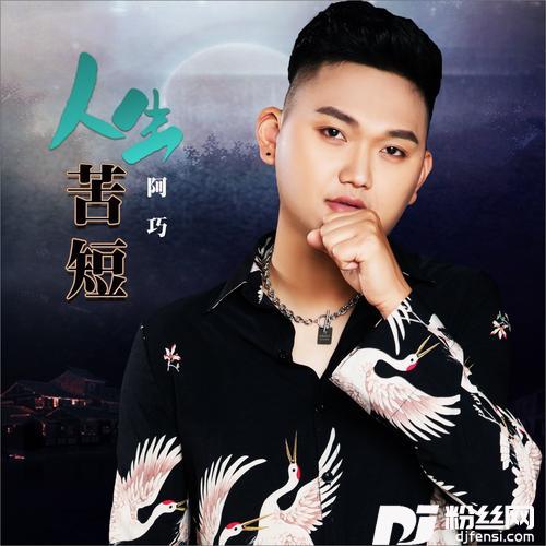 人生苦短DJ何鹏版的专辑
