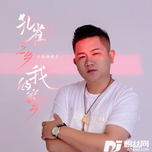 孔雀之乡我的家乡的专辑