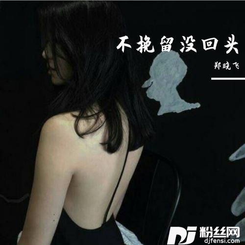 不挽留没回头DJ版