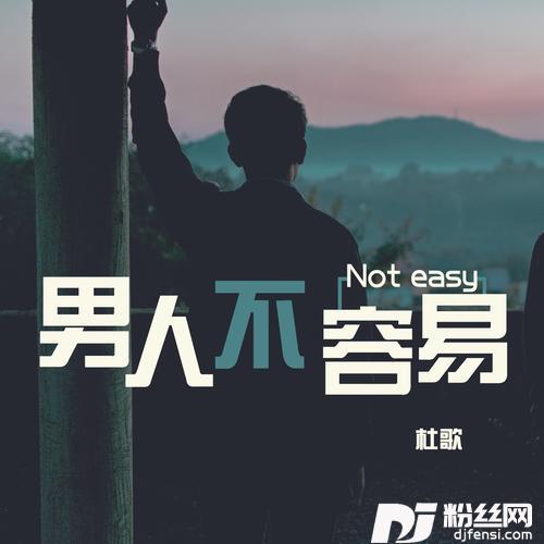 男人不容易（Dj_沈念）