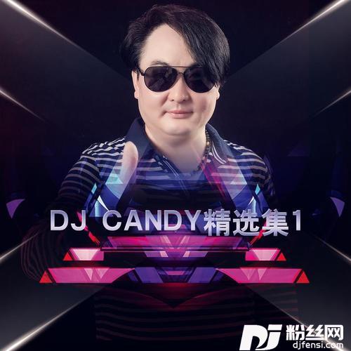飞蛾扑火DJ版的专辑